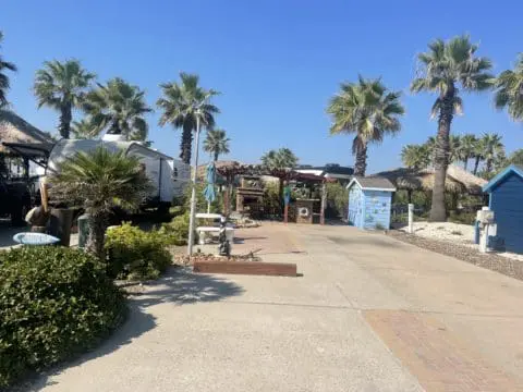 508_5016_1200px-480x360