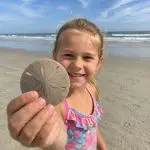 6-SanddollarTreasure