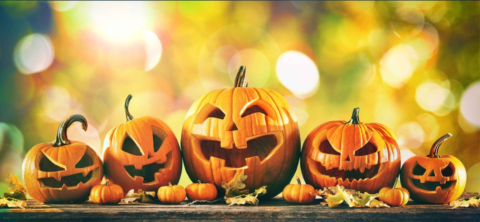 Halloween pumpkins with carved faces at Gulf Waters Beach Front RV Resort.