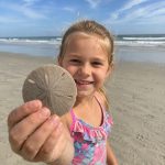 Child holding a sand dollar on the beach at Gulf Waters RV Resort.