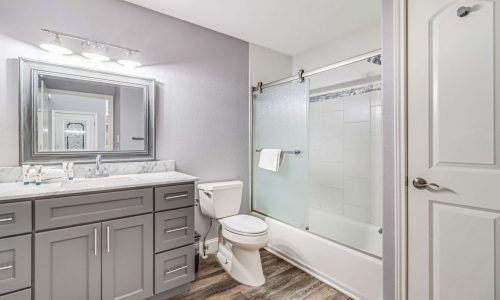 Contemporary bathroom with gray vanity, bathtub, and shower at Gulf Waters RV Resort.