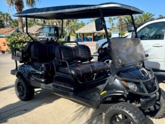 Electric golf cart at Gulf Waters Beach Front RV Resort with palm trees and clear blue sky.