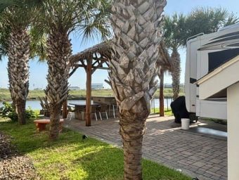 Scenic view of palm trees and RV at Gulf Waters Beach Front RV Resort.