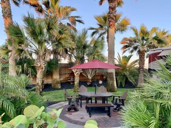 Tropical outdoor seating area with palm trees and an umbrella, showcasing a common area at Gulf Waters Beach Front RV Resort.